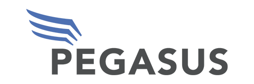 Pegasus
